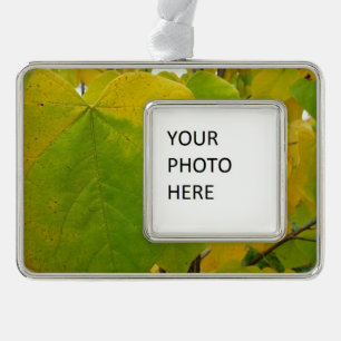 Gelbe und grüne Redbud-Blätter Rahmen-Ornament Silber