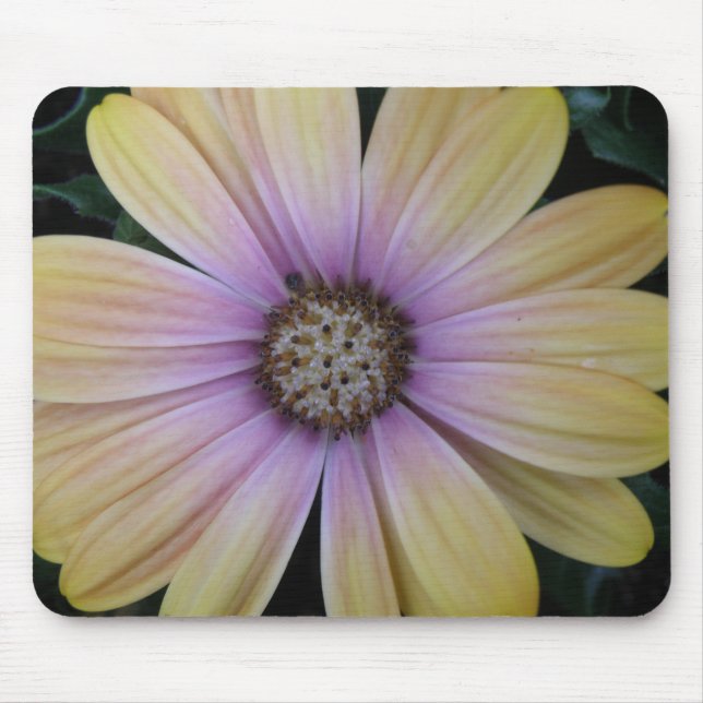 Gelbe und Lila Blume Mousepad (Vorne)
