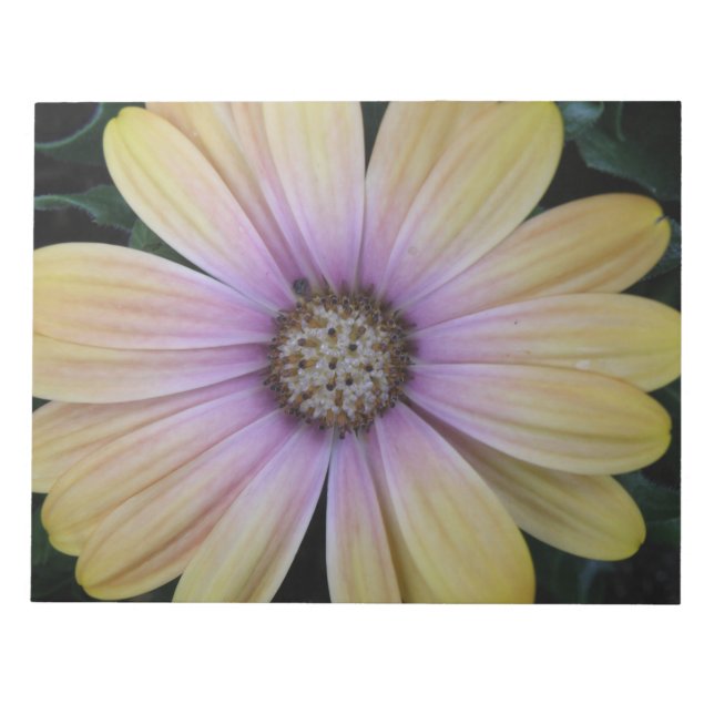 Gelbe und Lila Blume Notizblock (Vorderseite)