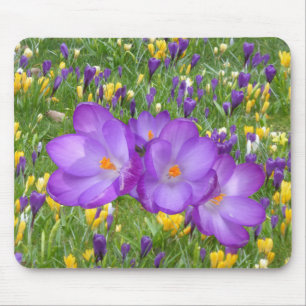 Gelbe und Lila Crocuses Mouse Pad Mousepad