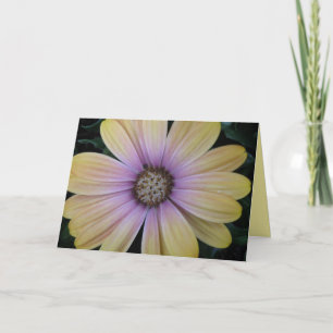 Gelbe und Lila Daisy-Blume wird gut und kundenspez Karte