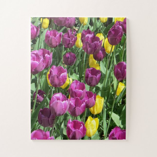 Gelbe und Lila Tulip Blume Puzzle (Vertikal)