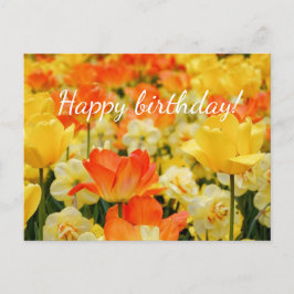 Gelbe und orange Blume Postkarte