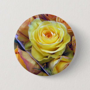 Gelbe und orange Rose Button