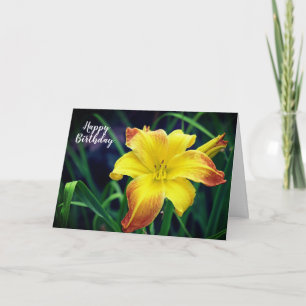 Gelbe und orange Taglilien-Blume zum Geburtstag Karte