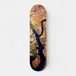Gelbe und orangefarbene Blätter Skateboard