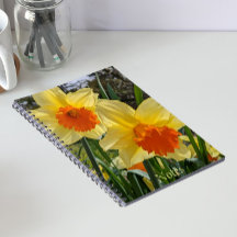 Gelbe und orangefarbene Kleidungsstücke