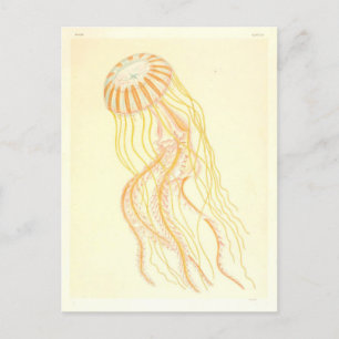 Gelbe und orangefarbene Vintage-Postkarte mit Qual Postkarte