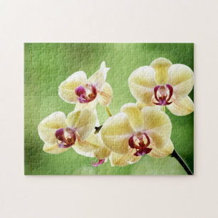 Gelbe und rosa Orchidee mit Blumen Puzzle