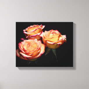 Gelbe und rosa Rosen 1998 Leinwanddruck