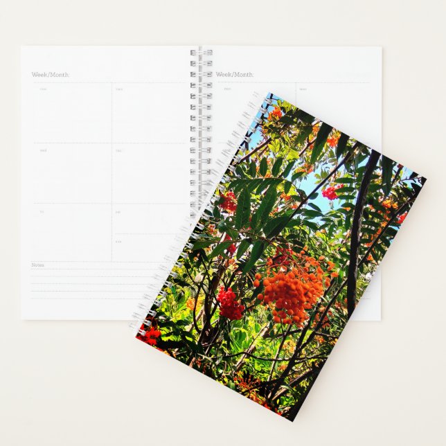 Gelbe und rote Beeren Planer (Anzeige)