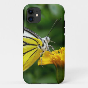 Gelbe und rote Schmetterlinge auf der gelben Blume Case-Mate iPhone Hülle