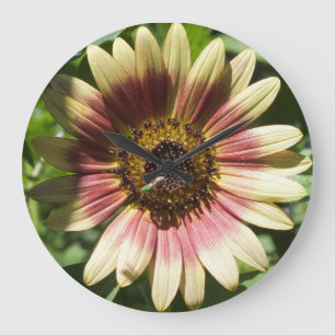 Gelbe und rote Sonnenblumenmauer Große Wanduhr