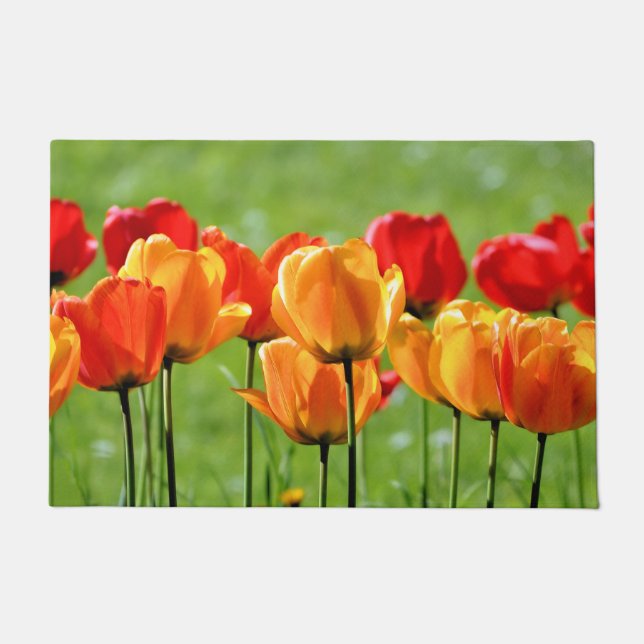 Gelbe und rote Tulissen Fußmatte (Vorderseite)