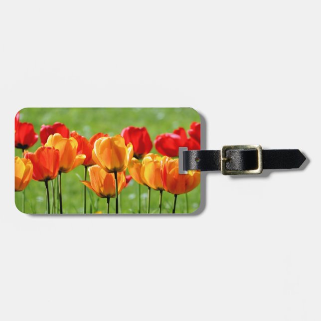 Gelbe und rote Tulissen Gepäckanhänger (Vorderseite horizontal)