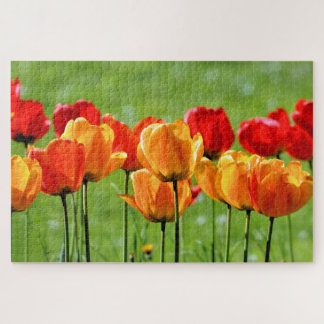 Gelbe und rote Tulissen Puzzle