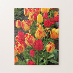 Gelbe und rote Tulissen Puzzle