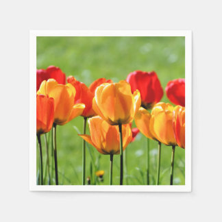Gelbe und rote Tulissen Serviette