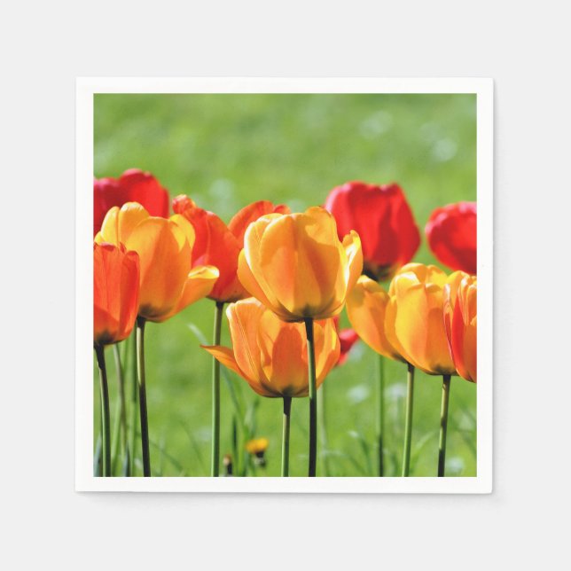 Gelbe und rote Tulissen Serviette (Vorderseite)