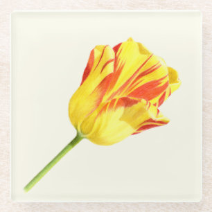 Gelbe und rote Tulpe Glasuntersetzer