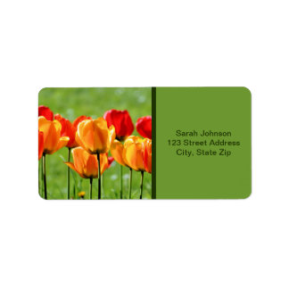 Gelbe und rote Tulpen Adressaufkleber