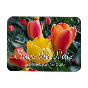 Gelbe und rote Tulpen-Gartenfoto Save-the-Date Magnet