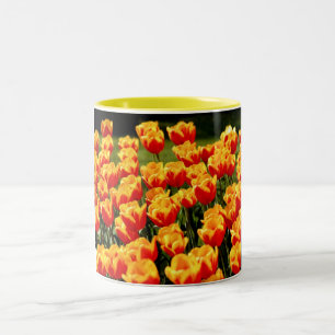Gelbe und rote Tulpen im Frühjahr Zweifarbige Tasse