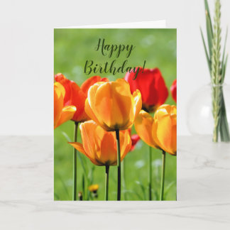Gelbe und rote Tulpen Karte