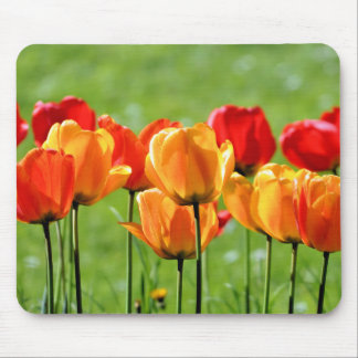 Gelbe und rote Tulpen Mousepad