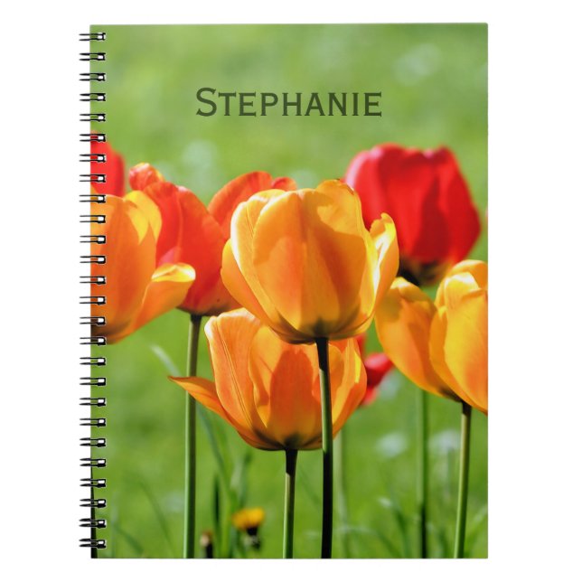 Gelbe und rote Tulpen Notizblock (Vorderseite)