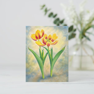 Gelbe und rote Tulpen-Postkarte Postkarte