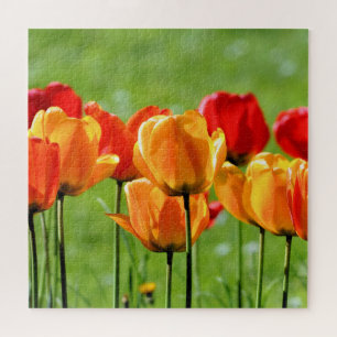 Gelbe und rote Tulpen Puzzle