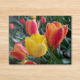 Gelbe und rote Tulpen Steingarten Foto Puzzle
