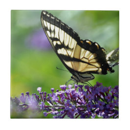 Gelbe und schwarze Schmetterling auf Lavendel Fliese