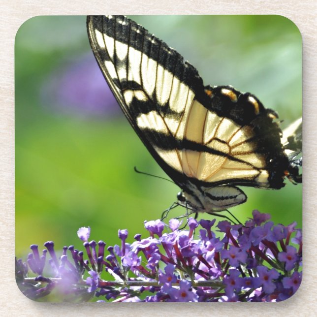 Gelbe und schwarze Schmetterlinge auf dem Lavendel Untersetzer (Vorderseite)