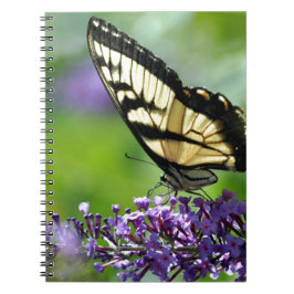 Gelbe und schwarze Schmetterlinge auf Lavendel Notizblock