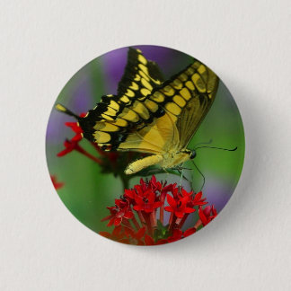 Gelbe und schwarze Schmetterlinge Button