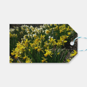 Gelbe und weiße Kleidung Frühlingsblumen Geschenkanhänger