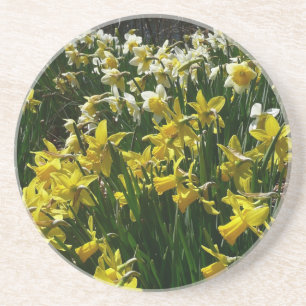 Gelbe und weiße Kleidung Frühlingsblumen Getränkeuntersetzer