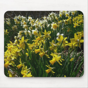 Gelbe und weiße Kleidung Frühlingsblumen Mousepad
