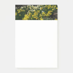 Gelbe und weiße Kleidung Frühlingsblumen Post-it Klebezettel