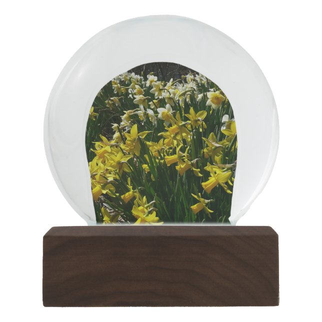 Gelbe und weiße Kleidung Frühlingsblumen Schneekugel (Vorderseite)