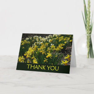Gelbe und weiße Osterglocken Frühlingsblumen Dankeskarte
