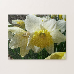 Gelbe und weiße Osterglocken Frühlingsblumen Puzzle