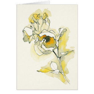 Gelbe und weiße Rosen