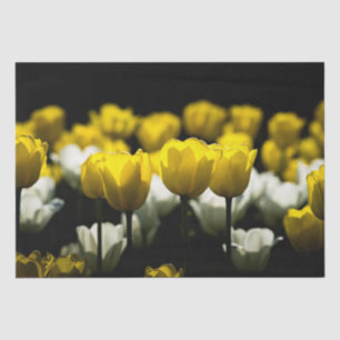 Gelbe und weiße Tulpen Seidenpapier