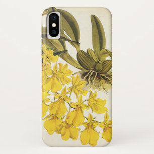 Gelbe Vintage-Oncidium-Orchidee, tropische Blumen iPhone X Hülle