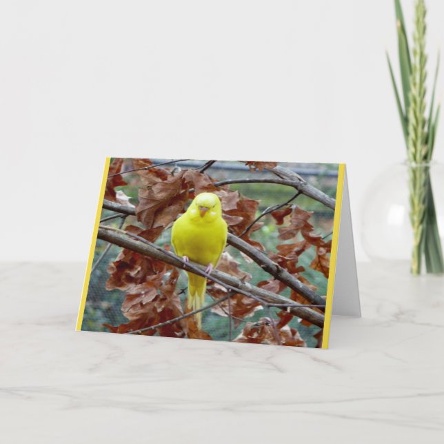 Gelbe Vogelblindkarte Karte (Vorderseite)