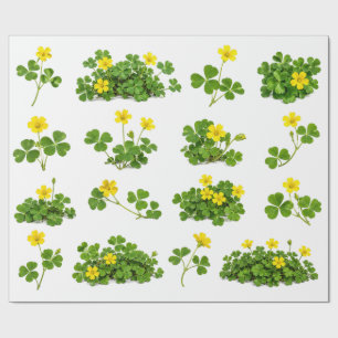Gelbe Wald-Sauerklee-Klee-Feld-Wildblumen-Botanik Geschenkpapier