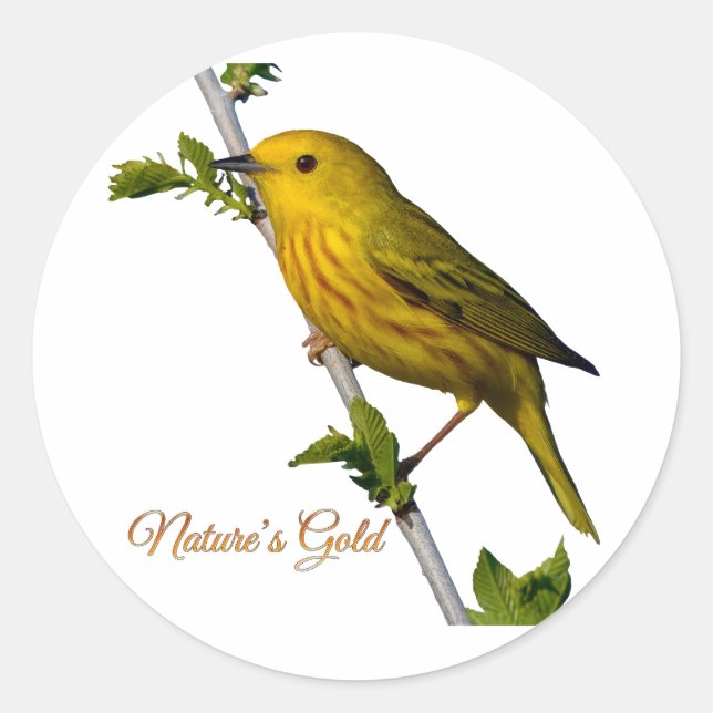 Gelbe Warbler "Nature's Gold" gedruckte Kunstkarte Runder Aufkleber (Vorderseite)